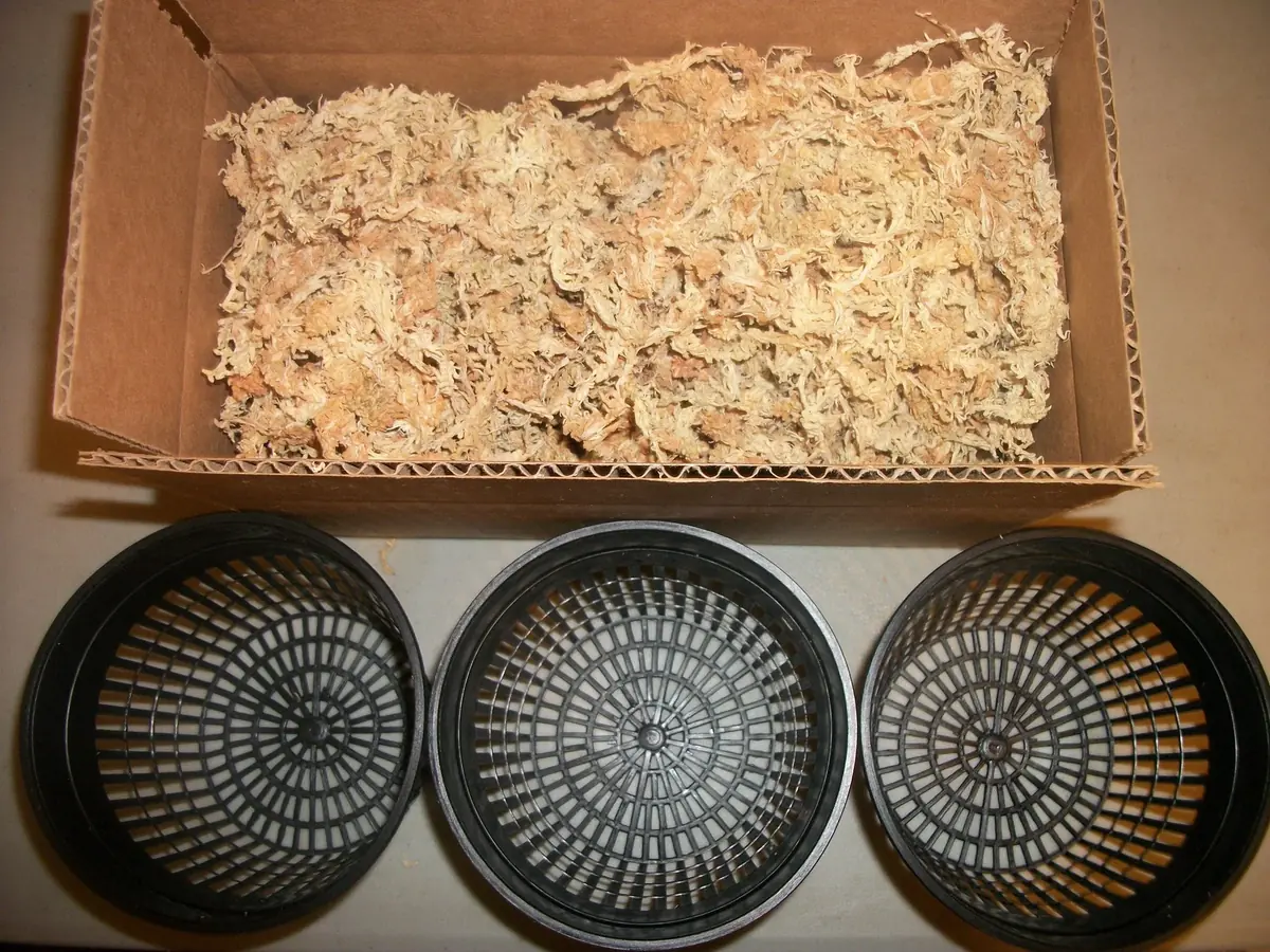 Zoo Med New Zealand Sphagnum Moss 3-Pack - Natural Terrarium Substrate