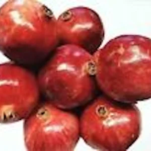 3 Wonderful Pomegranate Fruit Tree Edible Starter Plant Perennial - Punica Granatum Live Plant - Image 4