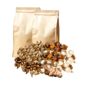 30 Mix Spring Flower Bulbs - Assorted Perennial Blooms, USDA Zones 4-9 - Image 5