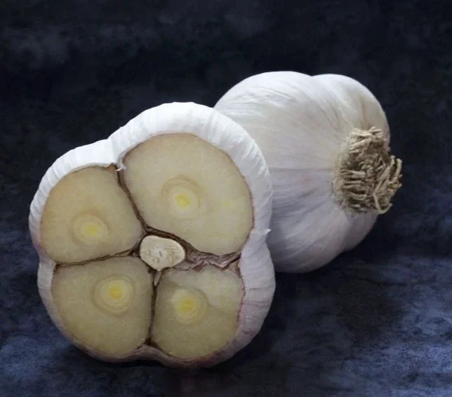 4 oz Organic Garlic Bulbs Mix - Chesnok Red, Music Varieties for Planting, Outdoor - Image 3