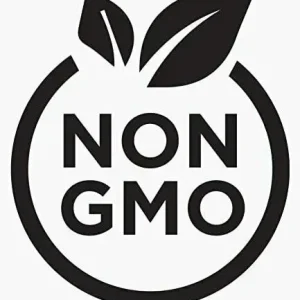 4 Shampoo Ginger Rhizomes - Zingiber Zerumbet Tropical Plant - Pine Cone Ginger - Image 6