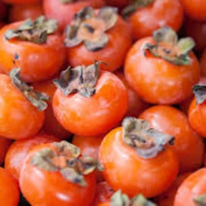 5 American Persimmon Tree Seeds - Diospyros Virginiana - Organic Heirloom Fruit Seeds - Image 9