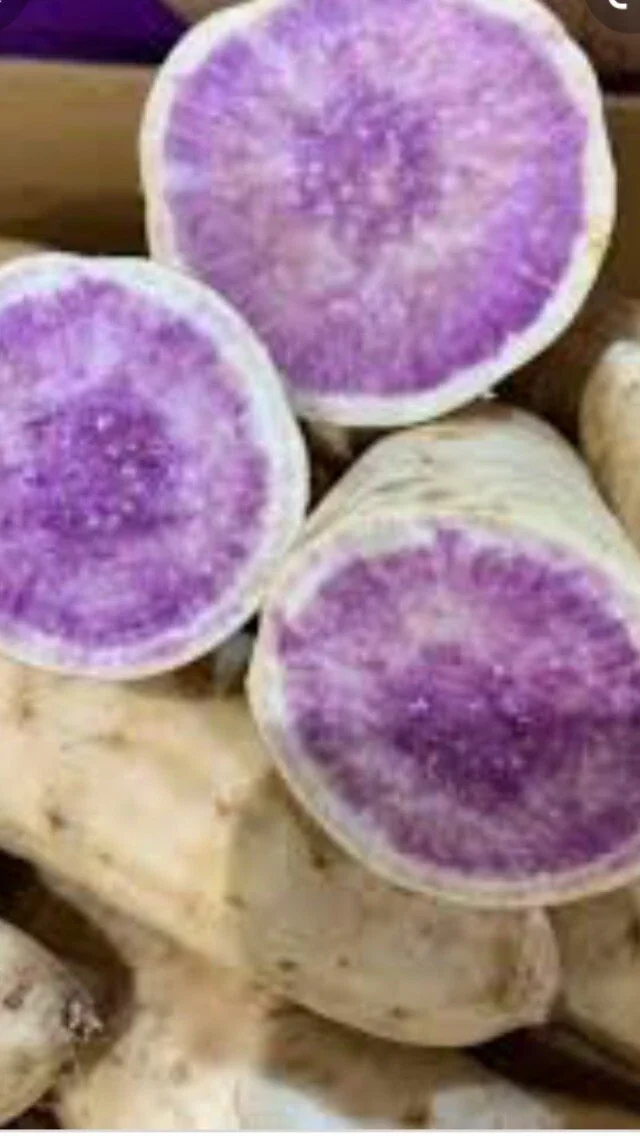 5 Live Purple Okinawa Sweet Potato Plants - Edible Vegetable, Potted, Indoor/Outdoor - Image 6
