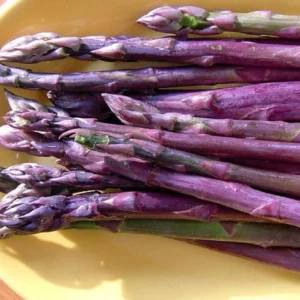 5 Purple Passion Asparagus Bare Roots - Asparagus officinalis, Sweet & Tender - Image 1