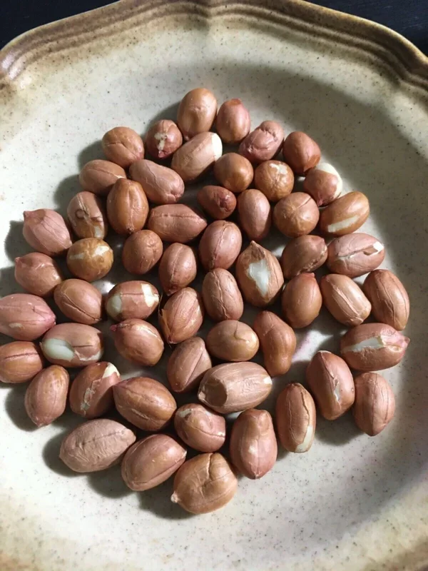 50 Heirloom Tennessee Red Peanut Seeds - Skin Off - Vegetable Seeds Outdoor - Image 2