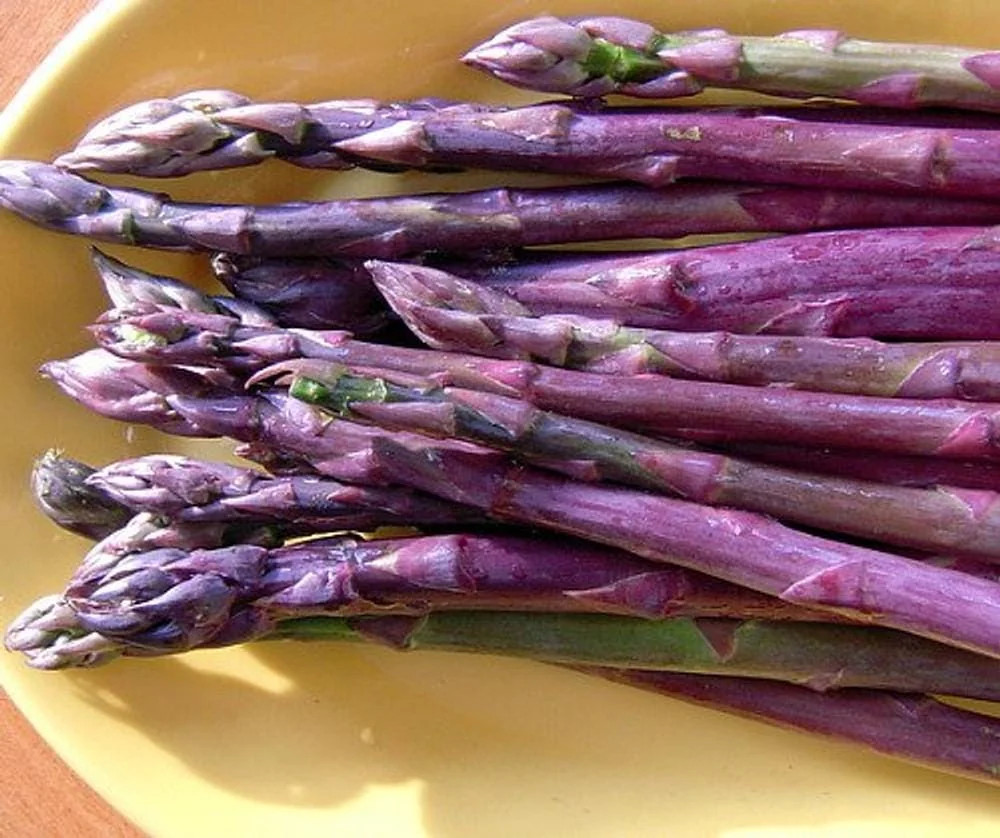 50 Purple Passion Asparagus Bare Roots - Asparagus officinalis - Sweet & Tender - Image 1