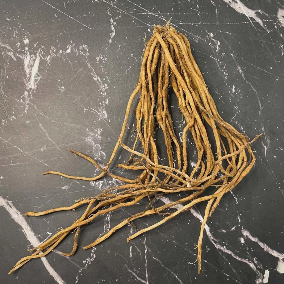 50 Viking KB3 Asparagus Bare Roots - Heirloom Vegetable Plant Indoor/Outdoor - Image 4