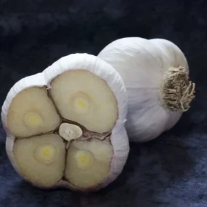 6 Organic Garlic Bulbs Multi-Size Mixed Varieties for Planting or Eating - Image 3