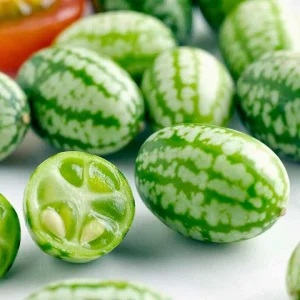 Cucamelon Mouse Melon Seeds – Organic Mini Melons, 25 Seeds, Easy Grow