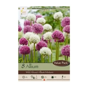 Allium Mix Bulbs - Purple Ornamental Onion Flowers - Deer Resistant - 32-36 in Tall - Image 1