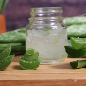 Aloe Vera Live Plant - 3-6