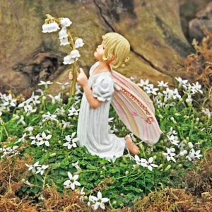 Alpine White Star Creeper Live Plant - Isotoma - 2.5 inch Pot - Outdoor Groundcover - Image 3