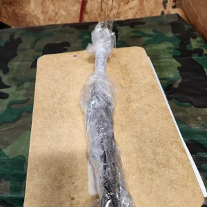 American Hazelnut Tree (Corylus Americana) – 5 Bareroot Plants – 6-12