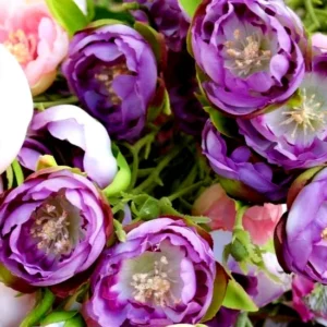 Amethyst Ranunculus Flower Bulbs - 24 Purple Corms - Perennial for Garden - Image 10