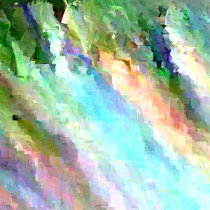 Arrowwood Viburnum Shrub Live Plant 8-12+ Inches Tall - Outdoor Flowering Bush - Image 3