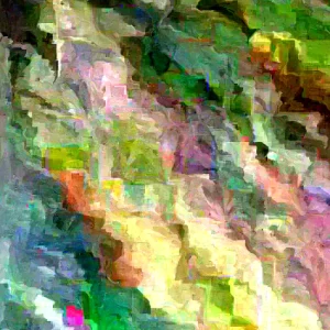 Aurea Potentilla Perennial Seeds – 1000 Yellow Flowering Groundcover Seeds - Image 2