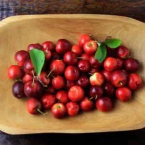 Barbados Cherry Live Plant – 2-3 ft Tall – Edible Fruit & Pollinator Attracting Shrub - Image 6