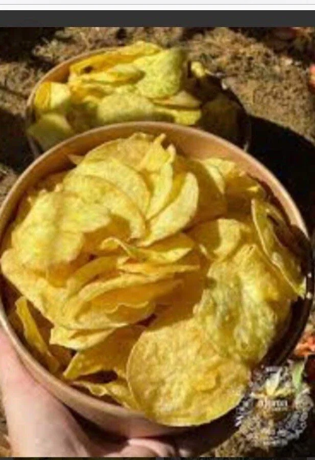 Beauregard Sweet Potato Plants - 5 Organic Slips, Orange Flesh, Full Sun - Image 10