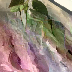 Beauregard Sweet Potato Plants - 5 Organic Slips, Orange Flesh, Full Sun - Image 3