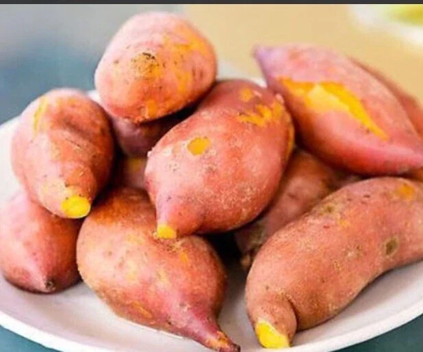 Beauregard Sweet Potato Plants - 5 Organic Slips, Orange Flesh, Full Sun - Image 6