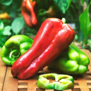 Big Bertha Sweet Pepper Seeds - Capsicum Annuum - 50+ Vegetable Seeds - Image 3