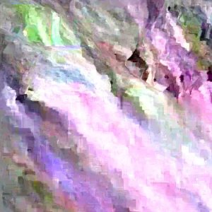 Big Zac Tomato Seeds – 25 Organic Heirloom Competition XL Size Vegetable Seeds for Garden - Image 4