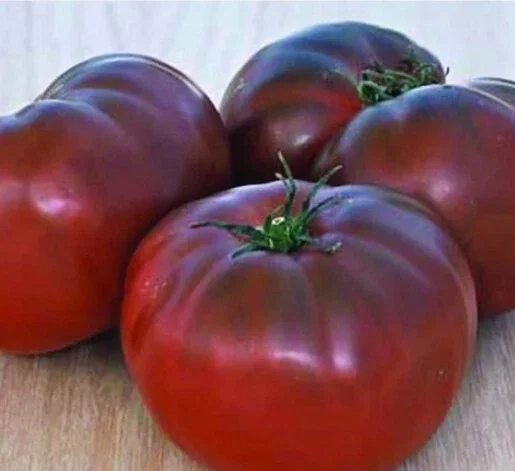 Brandywine Black Tomato Seeds - 25 Organic Heirloom Seeds for Large Tomatoes | Indoor/Outdoor - Image 3