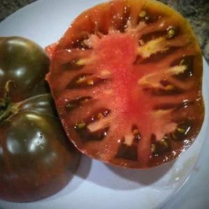 Brandywine Black Tomato Seeds - 25 Organic Heirloom Seeds for Large Tomatoes | Indoor/Outdoor - Image 4