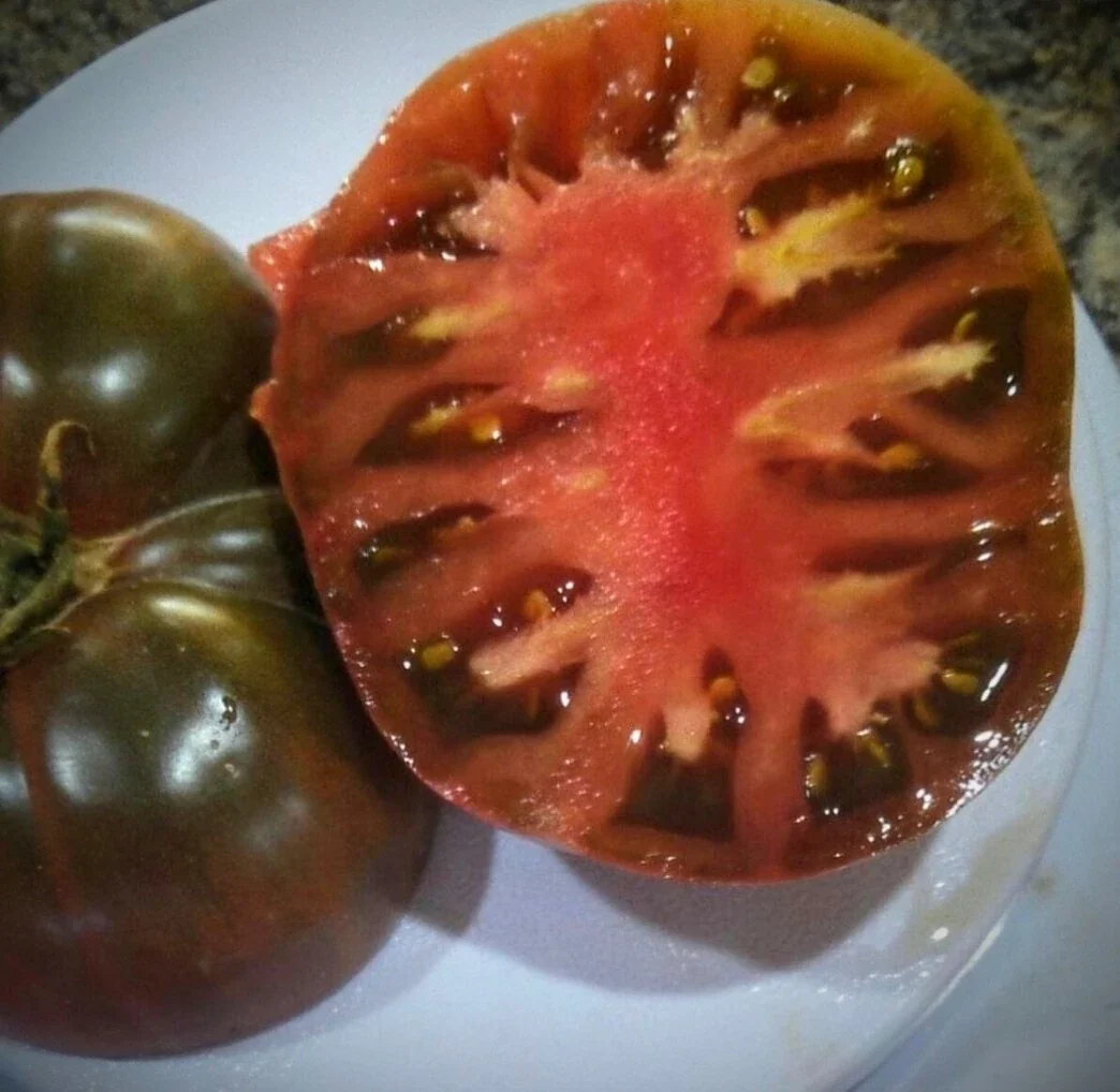 Brandywine Black Tomato Seeds - 25 Organic Heirloom Seeds for Large Tomatoes | Indoor/Outdoor - Image 4