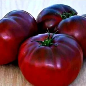Brandywine Heirloom Tomato Seeds Organic - Black, Red, Orange, Pink - 25 Seeds - Image 3