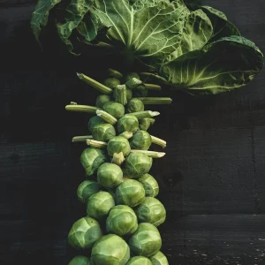 Brussels Sprout Jade Cross E Seeds - 1000 Pack, Green, Outdoor Vegetable - Image 1