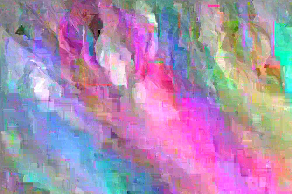 Burning Bush (Euonymus alatus) Live Bare Root Plant - 12+ Inches Tall - Set of 2 Outdoor Shrubs - Image 4