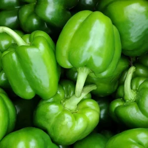 Bushel Buster Bell Pepper Seeds - Sweet Green, 50+ Seeds, Outdoor Vegetable - Image 3