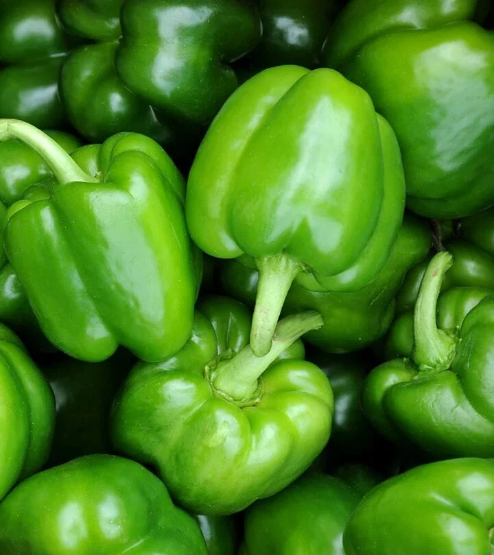 Bushel Buster Bell Pepper Seeds - Sweet Green, 50+ Seeds, Outdoor Vegetable - Image 1
