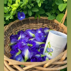 Butterfly Pea Flower Seeds - Vibrant Blue Vine, Climber, Nitrogen Fixer - Image 6