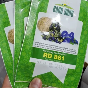 Butterfly Pea Seeds (Clitoria Ternatea) - Blue Flowering Vine Seeds - Perennial Outdoor - Image 2