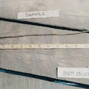 Buttonbush Plant 12-24in Tall - Cephalanthus occidentalis Bare Root Shrub - Image 2