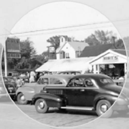 Cactus & Succulent Live Plant Collection - 8 Species, 2-inch Pots, Assorted - Image 2