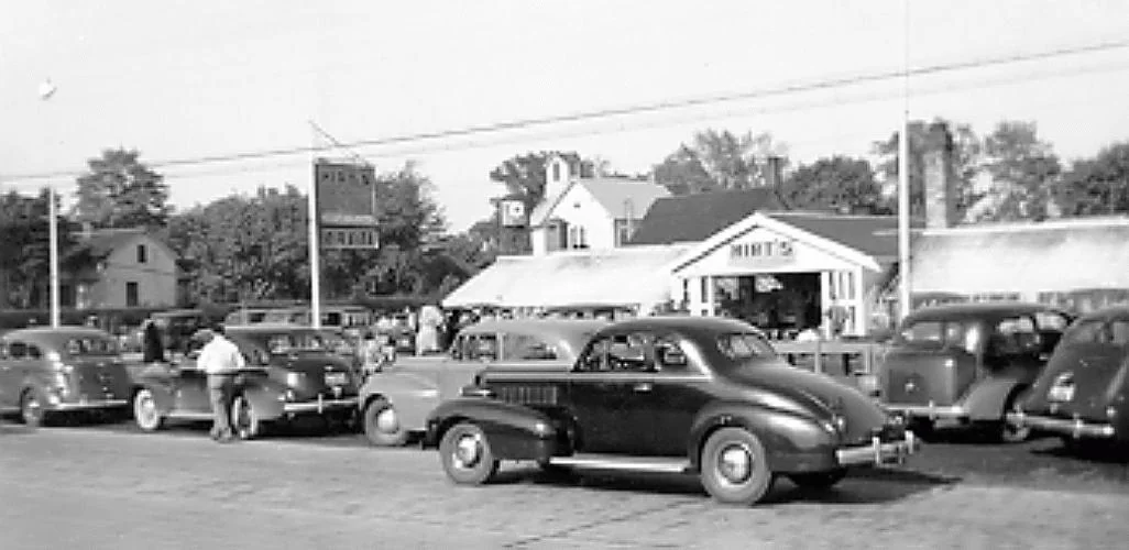 Cactus & Succulent Live Plant Collection - 8 Species, 2-inch Pots, Assorted - Image 3