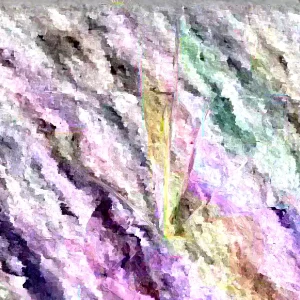 Cape Sundew Carnivorous Plant (Drosera Capensis) - Live Plant 3 inch Pot Indoor/Outdoor - Image 1