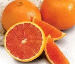 Cara Cara Orange Tree - 3 Gallon Pot, 2-3 Feet Tall Live Plant - Sweet & Juicy Fruit - Image 1