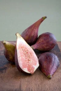 Celestial Fig Tree Live Plant - 2ft Tall in 6in Pot - Sweet Fruit - Image 1