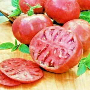 Cherokee Purple Tomato Seeds - Heirloom Vegetable Seeds for Planting - Fast Grow - Image 3