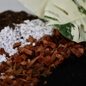 Chunky Aroid Potting Mix - Well-Draining Soil for Monstera & Indoor Plants - Image 1