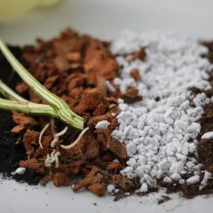 Chunky Aroid Potting Soil Mix for Monstera, Rare Indoor Plants & Cactus - Well Draining - Image 3