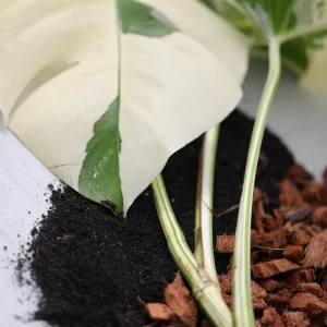 Chunky Aroid Potting Soil Mix for Monstera, Rare Indoor Plants & Cactus - Well Draining - Image 5