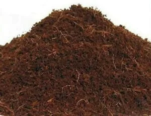 Coconut Coir Growing Medium Discs - Expands to 1-2 Quart Pots - Eco-Friendly Potting Mix - Image 1