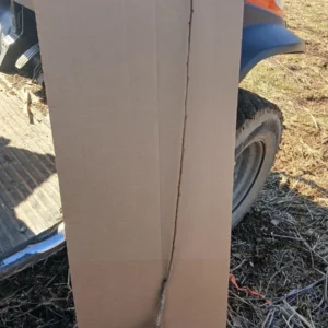 Contender Peach Tree Bare Root Live Plant - 2-3 ft Tall, Freestone Fruit - Image 3