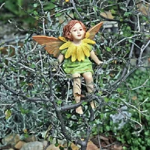 Corokia Ghost Tree Live Plant – 2.5 inch Pot – Indoor/Fairy Garden Plant - Image 2