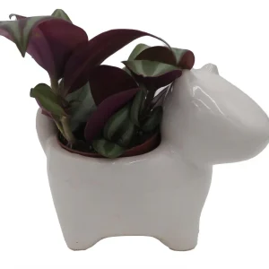 Dog Ceramic Planter with Surprise Terrarium Plant - 3 Inch Pot - Image 1